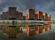 25_IMG_6784